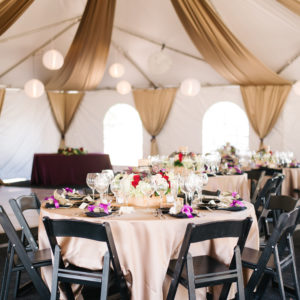 Tent Draping - Canopy Draping