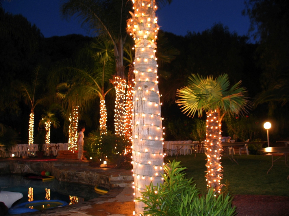 Holiday Backyard Wedding With Twinkle Lights